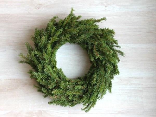 Havukranssi